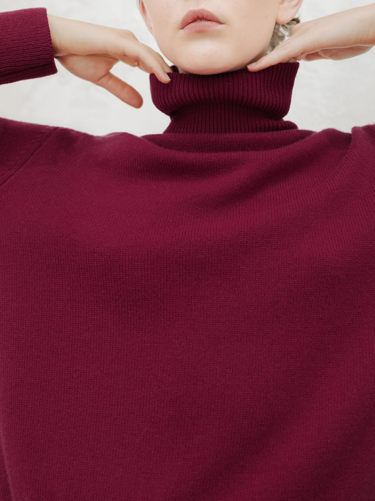 Pure Cashmere High Neck Sweater