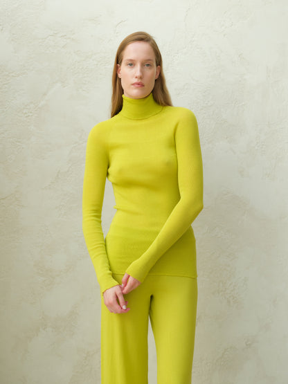 Extrafine Merino Ribbed Turtleneck (3D-Knit)