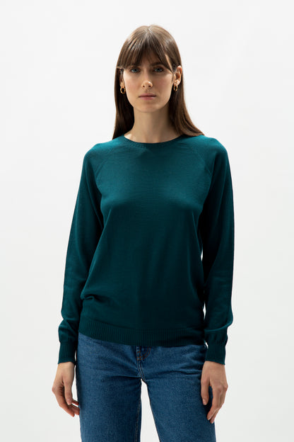 Extra fine merino wool crew neck pullover - most.it.knit