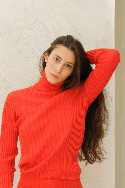 Extra Fine Merino Wool Ribbed Turtle Neck