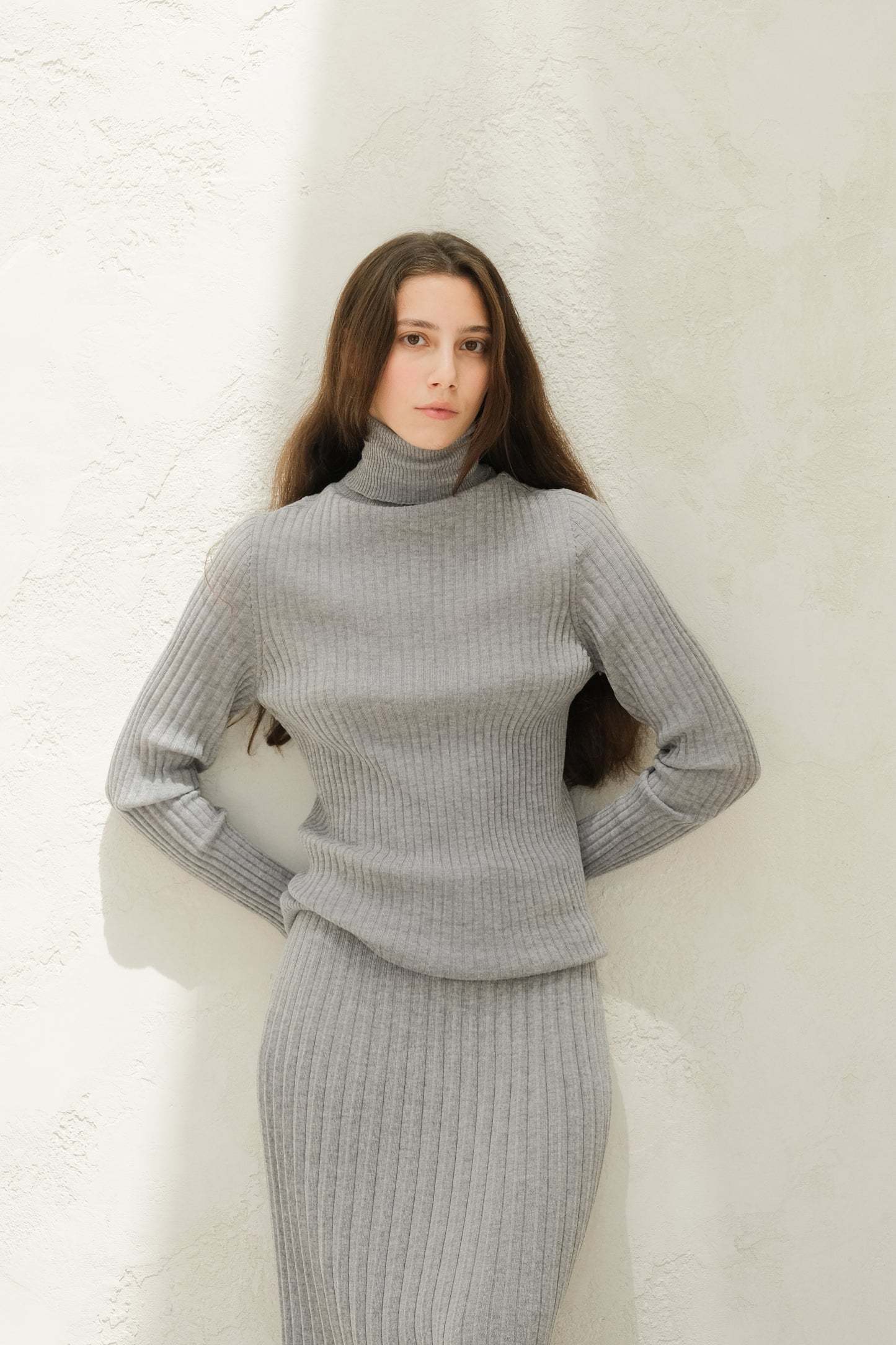 Extra Fine Merino Wool Ribbed Turtle Neck